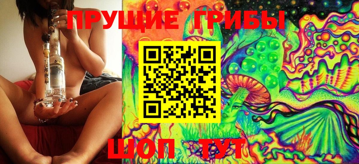 Псилоцибиновые грибы Cubensis Лянтор